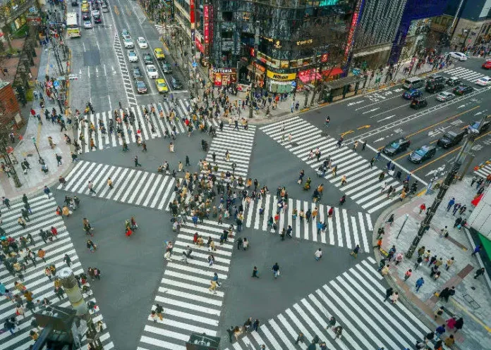 Zebra Crossing in Japan