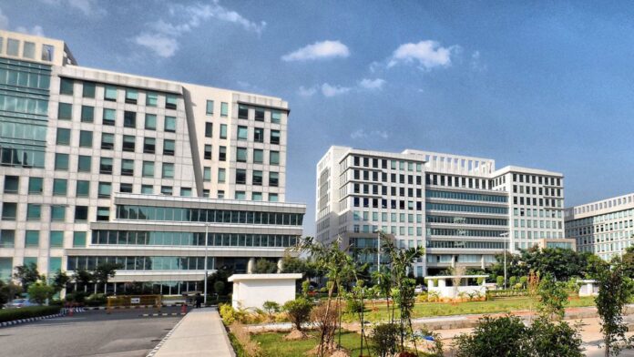 DLF